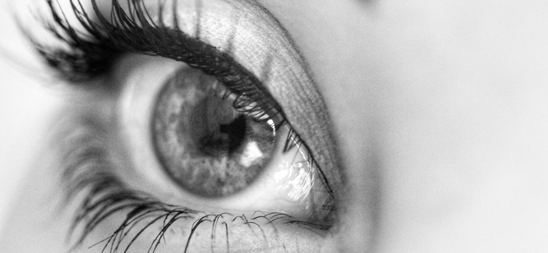 2 Produk Eyelashes Berkualitas Dunia