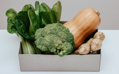 Keamanan Pangan Dan Box kertas