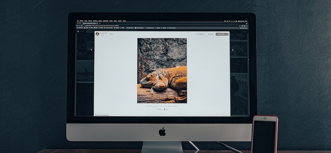 Mengoptimalkan Gambar Untuk Mempercepat Website