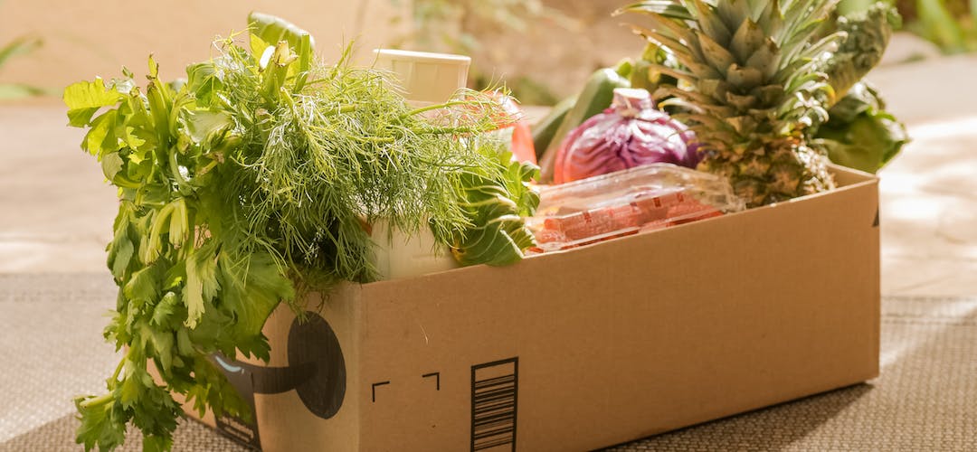 Box Penyimpanan Makanan Portabel